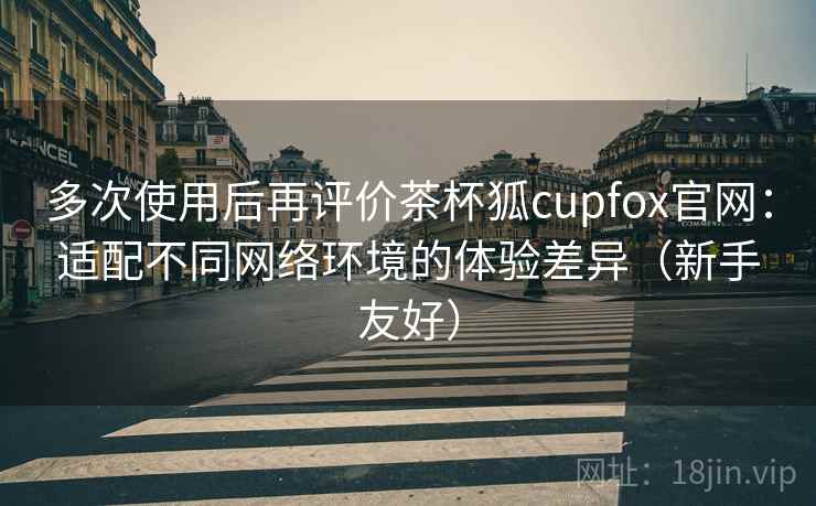 多次使用后再评价茶杯狐cupfox官网：适配不同网络环境的体验差异（新手友好）