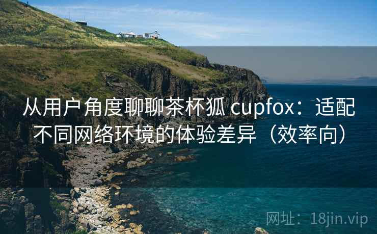 从用户角度聊聊茶杯狐 cupfox：适配不同网络环境的体验差异（效率向）