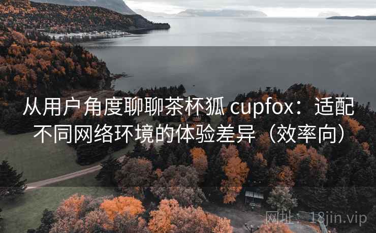 从用户角度聊聊茶杯狐 cupfox:适配不同网络环境的体验差异(效率向) 从用户角度聊聊茶杯狐 cupfox:适配不同网络环境的体验差异(效率向)
