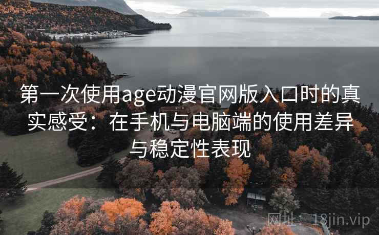 第一次使用age动漫官网版入口时的真实感受：在手机与电脑端的使用差异与稳定性表现