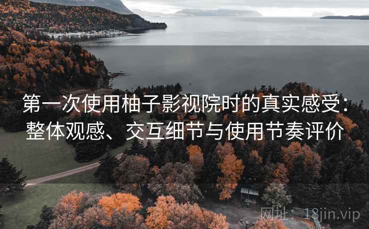 第一次使用柚子影视院时的真实感受：整体观感、交互细节与使用节奏评价